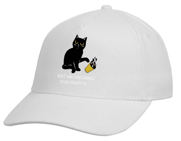 CAT, what are you going to do about it! — 2