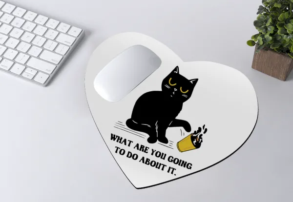 CAT, what are you going to do about it! — 2