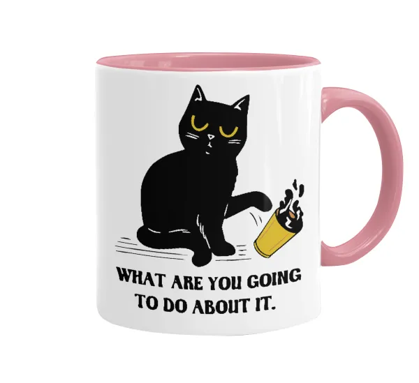 CAT, what are you going to do about it! — 1