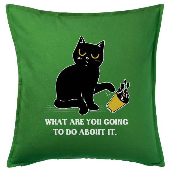 CAT, what are you going to do about it! — 1