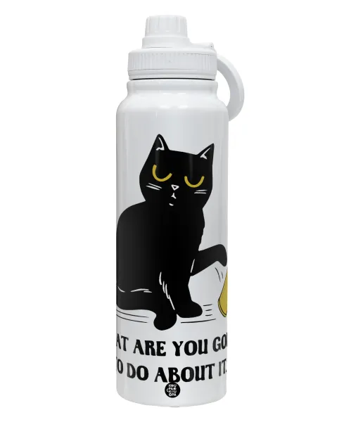 CAT, what are you going to do about it! — 1