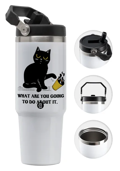 CAT, what are you going to do about it! — 1