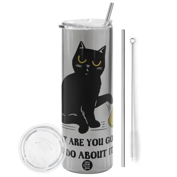 CAT, what are you going to do about it! — 1