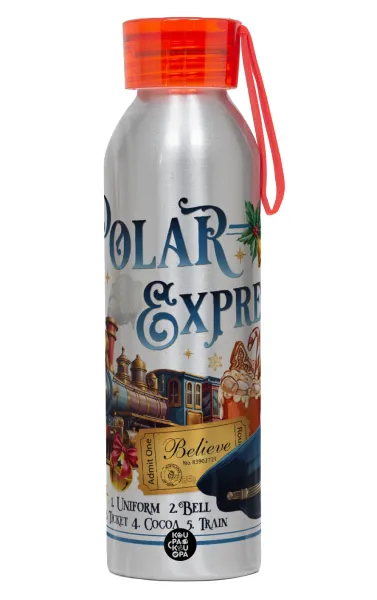 The Polar Express — Αλουμινένιο Αθλητικό Μπουκάλι 650ml – Ασημί με Κόκκινο Καπάκι και Λουράκι Σιλικόνης