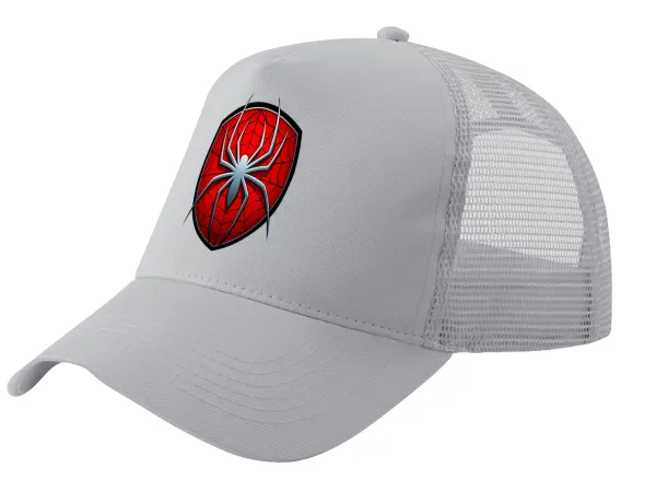 Spider-man — 1