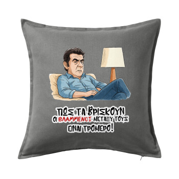 ΠΩΣ ΤΑ ΒΡΙΣΚΟΥΝ ΟΙ ΒΛΑ....ΝΟΙ ΜΕΤΑΞΥ ΤΟΥΣ, ΕΙΝΑΙ ΤΡΟΜΕΡΟ!!!, Sofa cushion Grey 50x50cm includes filling