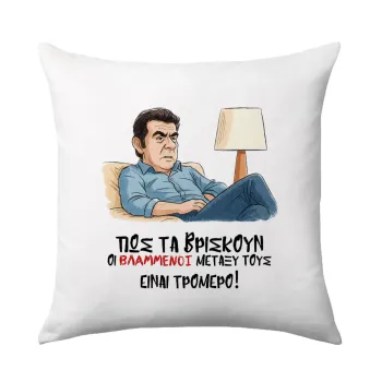 ΠΩΣ ΤΑ ΒΡΙΣΚΟΥΝ ΟΙ ΒΛΑ....ΝΟΙ ΜΕΤΑΞΥ ΤΟΥΣ, ΕΙΝΑΙ ΤΡΟΜΕΡΟ!!!, Sofa cushion 40x40cm includes filling