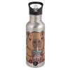 Water bottle Silver with straw, stainless steel 600ml