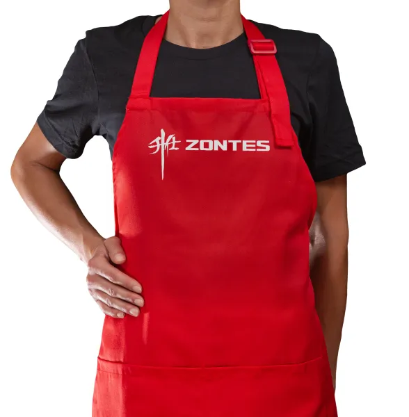 ZONTES — 1