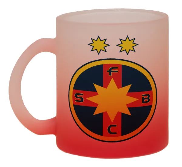 FC Steaua Bucuresti (FCSB) — 1