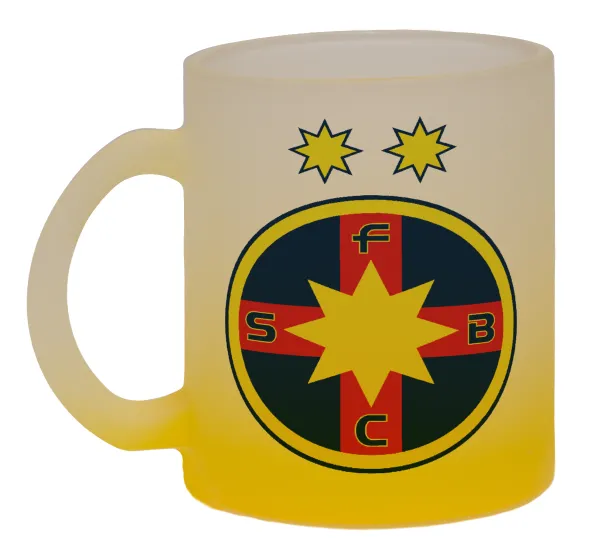 FC Steaua Bucuresti (FCSB) — 1