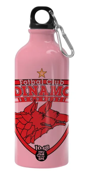 FC Dinamo Bucuresti — 1