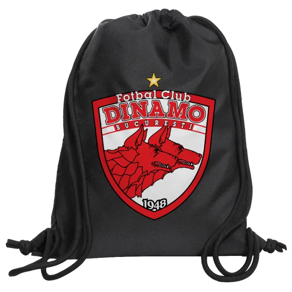 FC Dinamo Bucuresti — 1