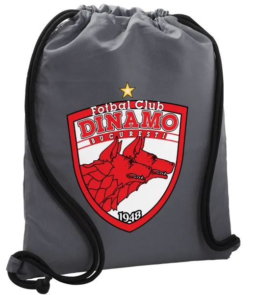FC Dinamo Bucuresti — 1