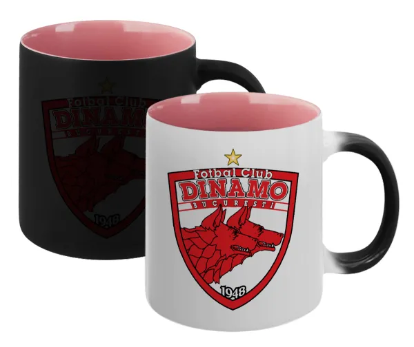 FC Dinamo Bucuresti — 1
