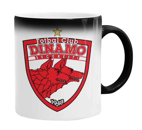 FC Dinamo Bucuresti — 2