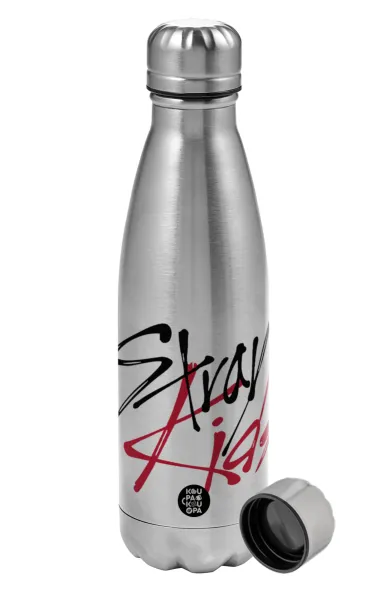 Stray Kids — 1