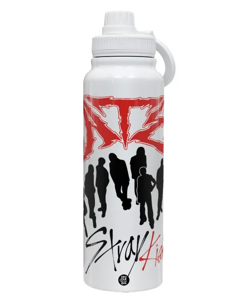 Stray Kids Boy band — 1