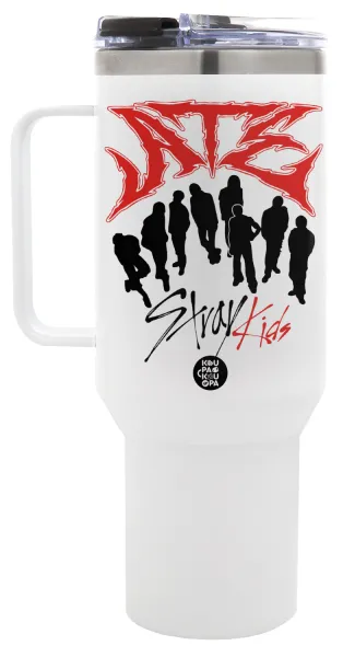 Stray Kids Boy band — 1