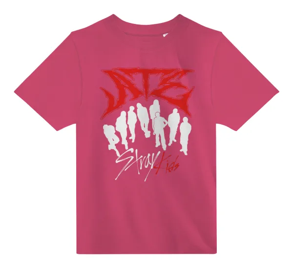 Stray Kids Boy band — 2