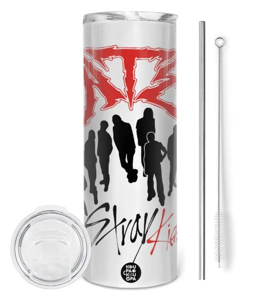 Stray Kids Boy band — 1