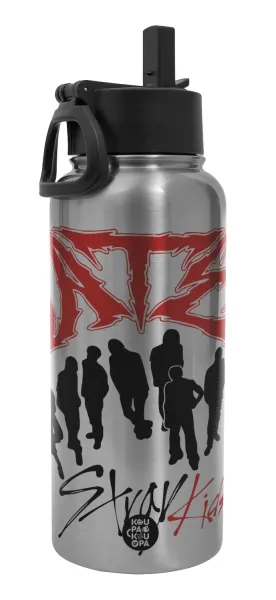Stray Kids Boy band — Metal mug thermo Silver with Straw and Spout Lid (Stainless steel), double wall, 950ml
