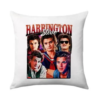 Steve Harrington, Stranger Things, Μαξιλάρι καναπέ 40x40cm περιέχεται το  γέμισμα