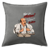 Sofa cushion Grey 50x50cm includes filling