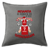Sofa cushion Grey 50x50cm includes filling