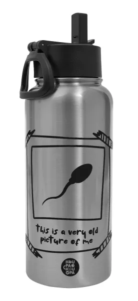 This is A Very Old Picture Of Me — Metal mug thermo Silver with Straw and Spout Lid (Stainless steel), double wall, 950ml