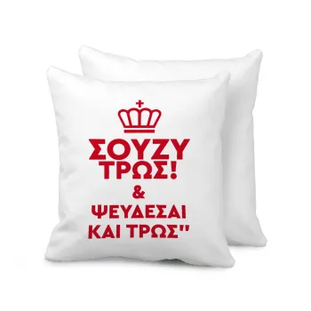 Σούζυ και ψεύδεσαι και τρως, Sofa cushion 40x40cm includes filling