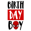 Birth day Boy (spiderman)