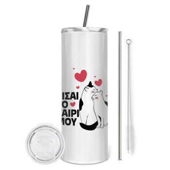Είσαι το ταίρι μου, Tumbler stainless steel 600ml, with metal straw & cleaning brush
