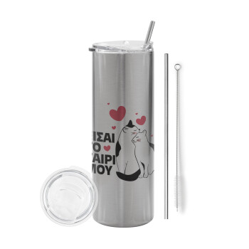 Είσαι το ταίρι μου, Tumbler stainless steel Silver 600ml, with metal straw & cleaning brush
