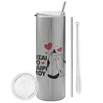Είσαι το ταίρι μου, Tumbler stainless steel Silver 600ml, with metal straw & cleaning brush