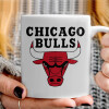   Chicago Bulls