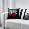  Chicago Bulls