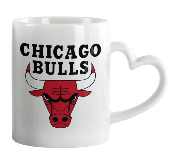 Chicago Bulls — 1