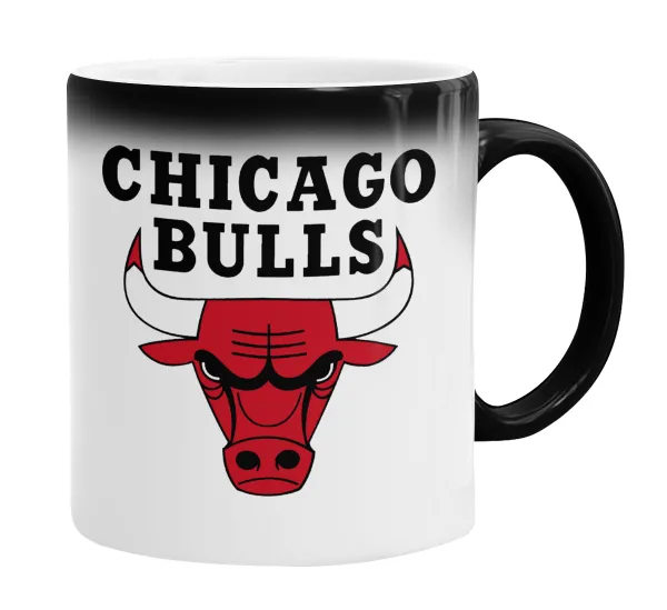Chicago Bulls — 2