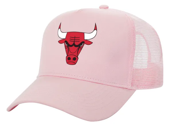 Chicago Bulls — 1