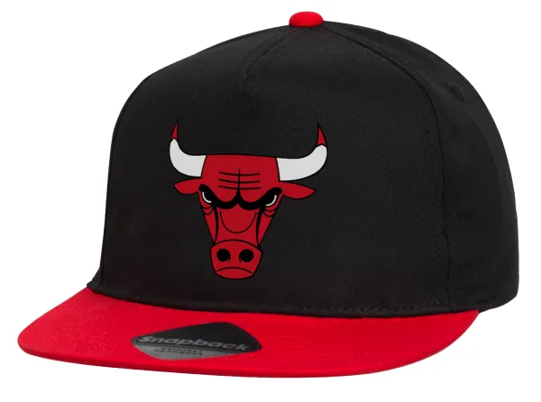Chicago Bulls — 1