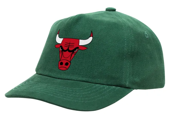 Chicago Bulls — 1
