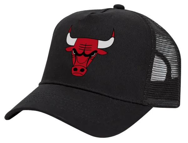 Chicago Bulls — 1