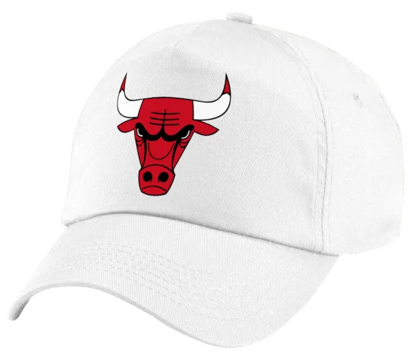 Chicago Bulls — 1