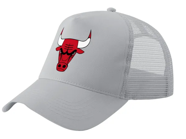 Chicago Bulls — 1