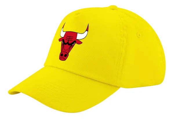 Chicago Bulls — 1