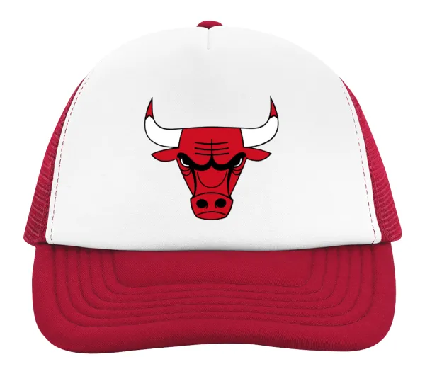 Chicago Bulls — 2