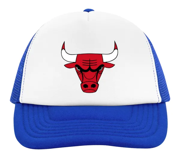 Chicago Bulls — 2