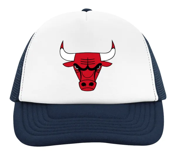 Chicago Bulls — 2
