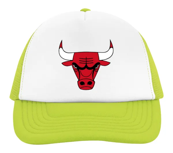 Chicago Bulls — 2